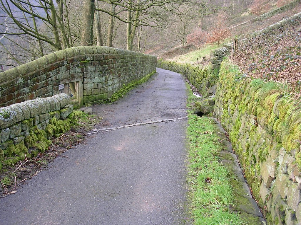 DSCN0006.JPG