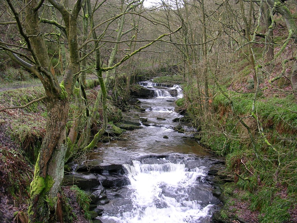 DSCN0013.JPG