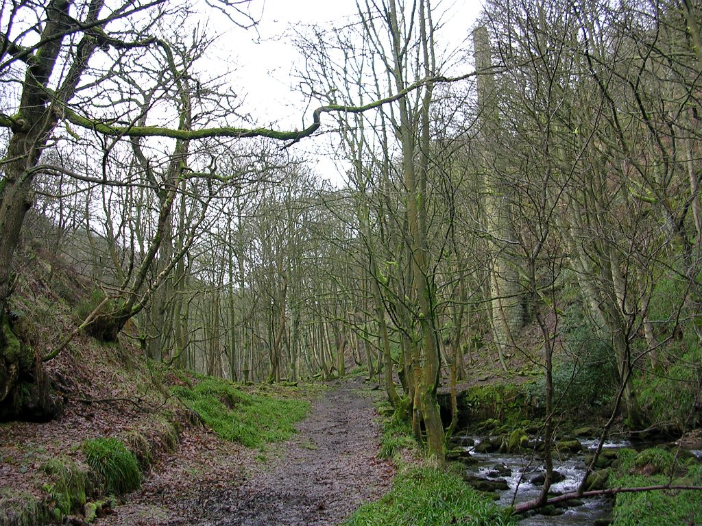 DSCN0015.JPG