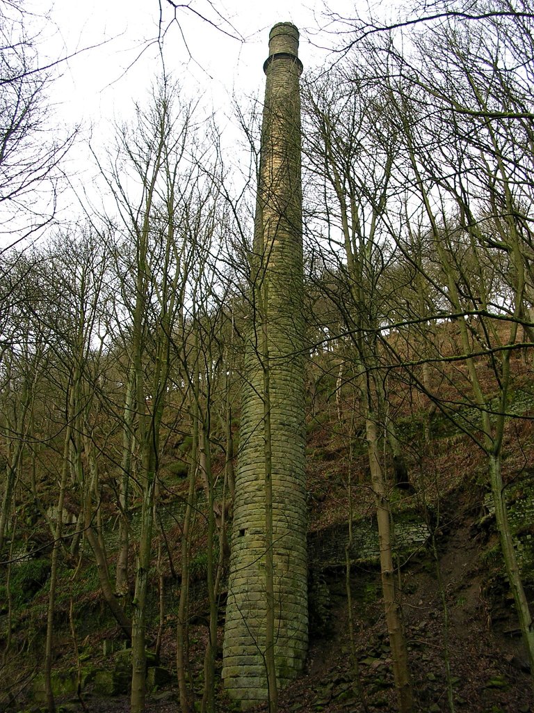 DSCN0018.JPG