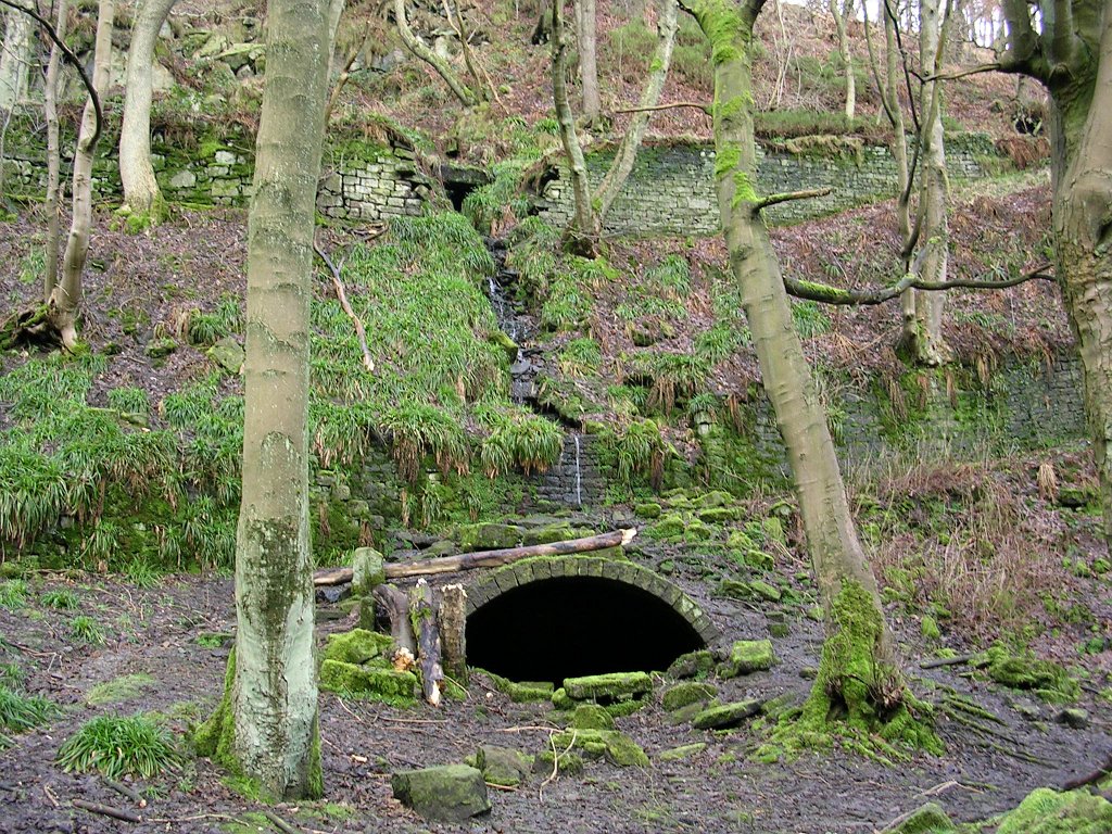 DSCN0021.JPG