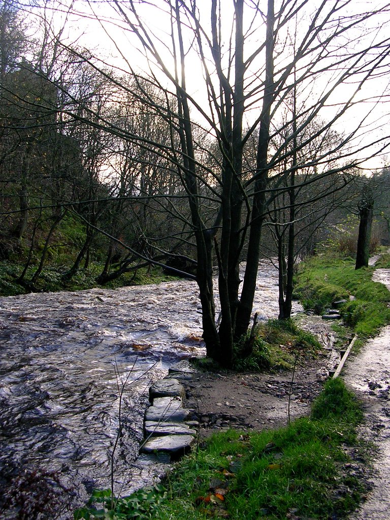 DSCN0214.JPG