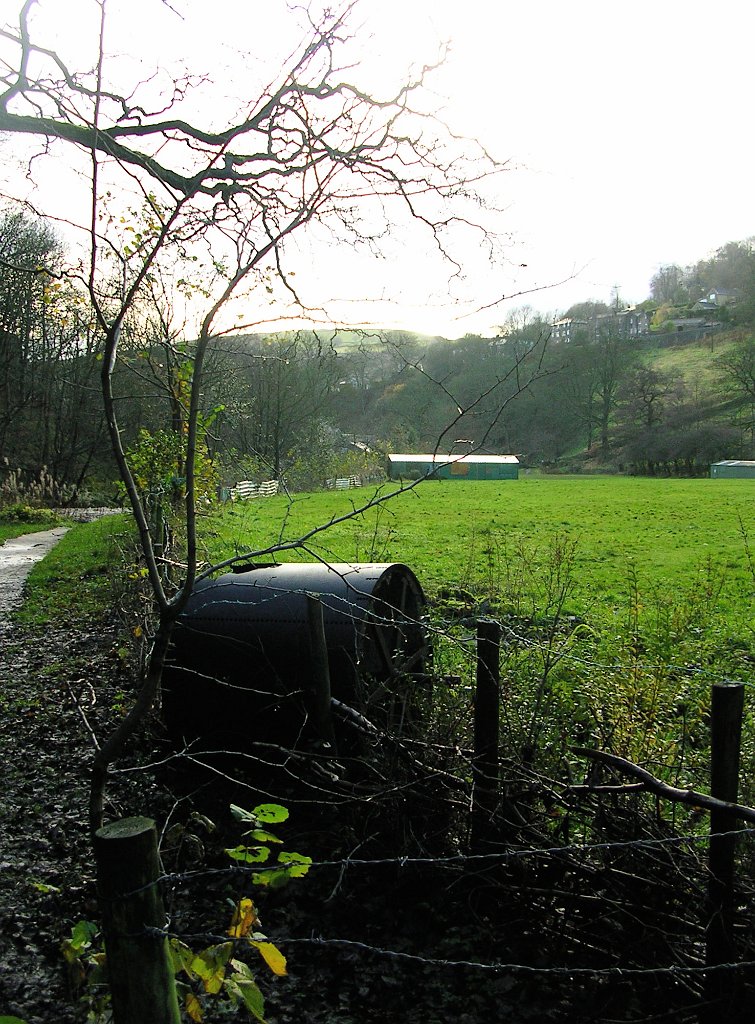 DSCN0216.JPG