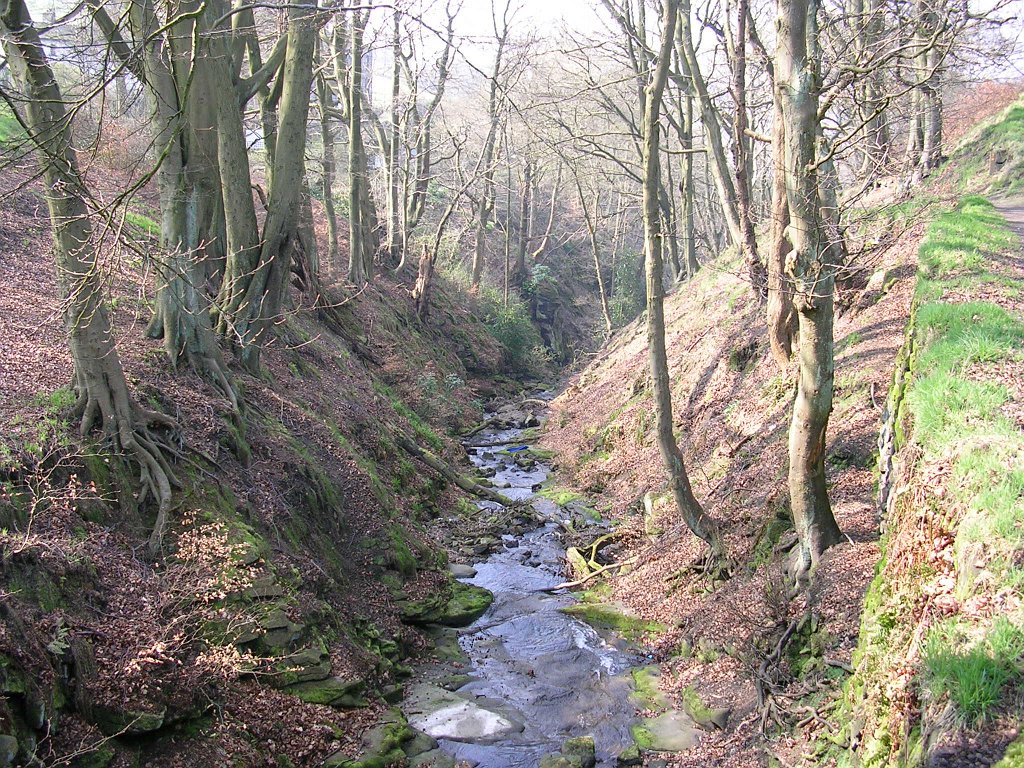 DSCN0499.JPG