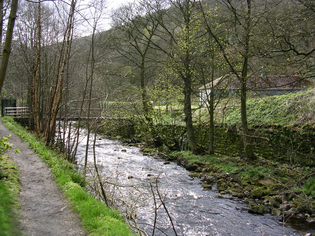 DSCN0656.JPG