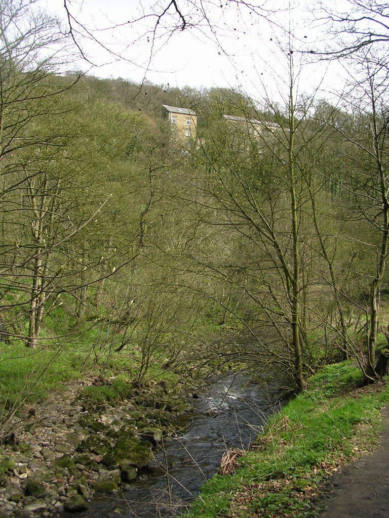 DSCN0659.JPG