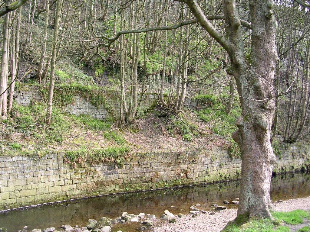 DSCN0660.JPG