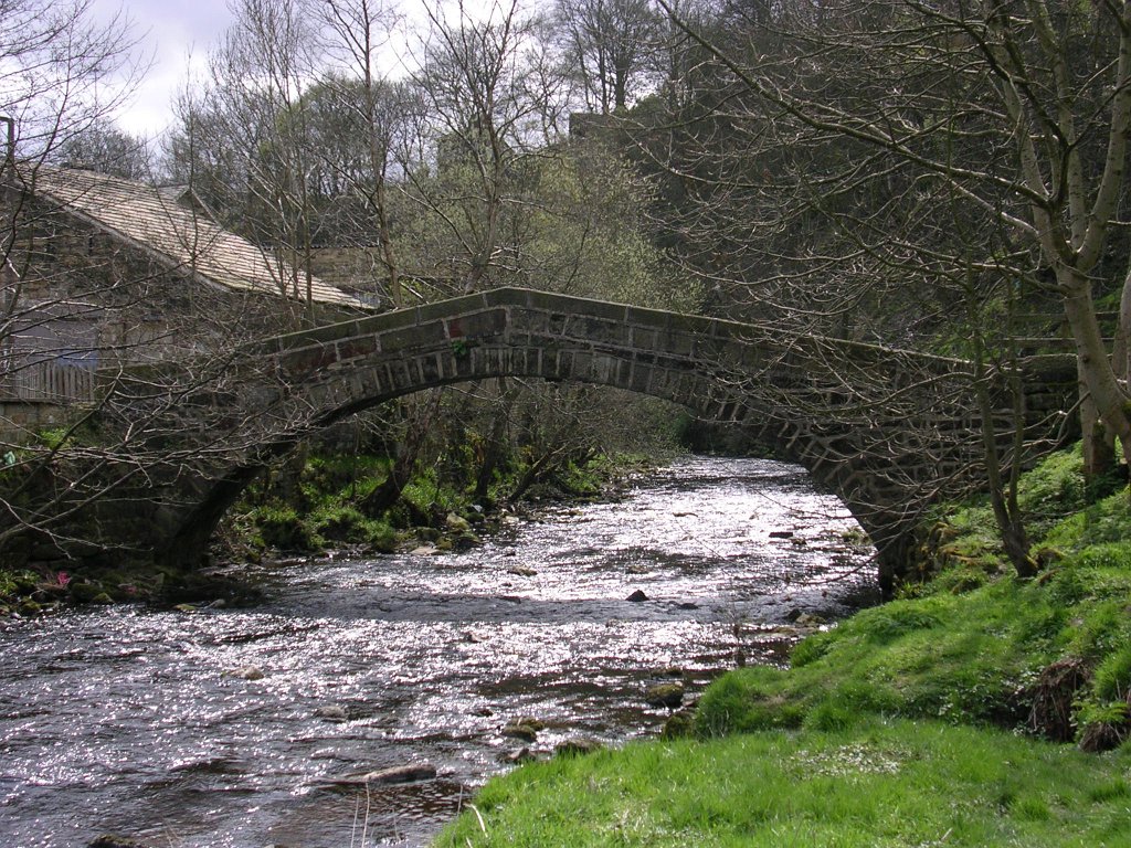 DSCN0666.JPG