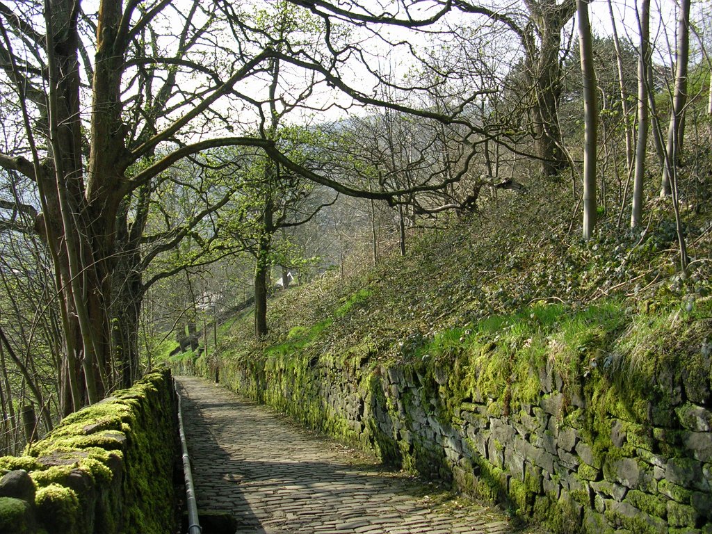 DSCN0674.JPG