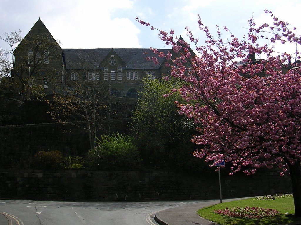 DSCN0913.JPG