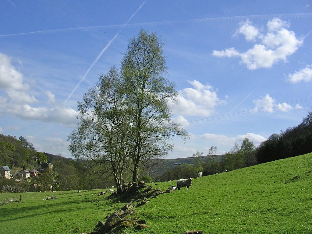 DSCN0950.JPG