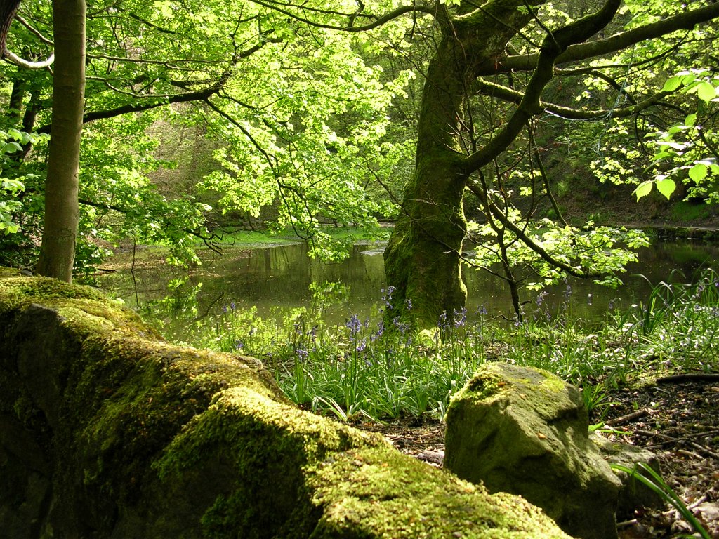 DSCN0974.JPG
