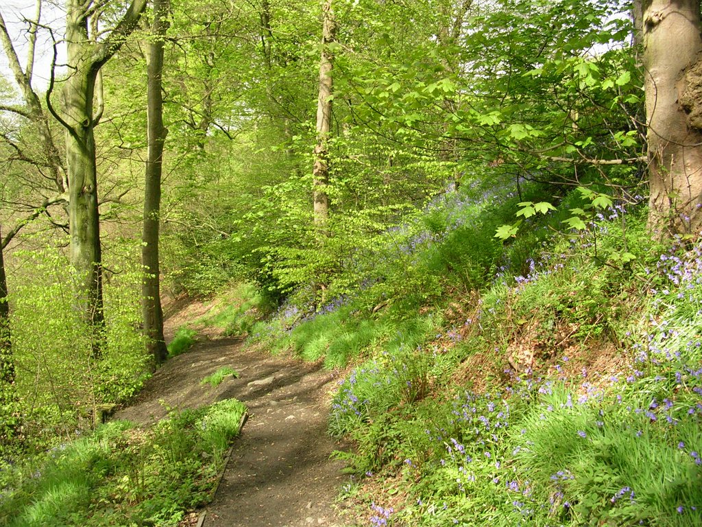 DSCN0977.JPG