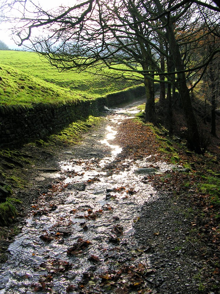 DSCN0171.JPG