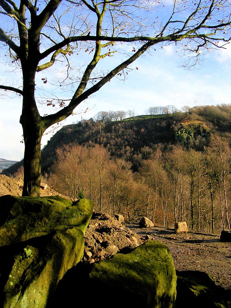 DSCN0185.JPG