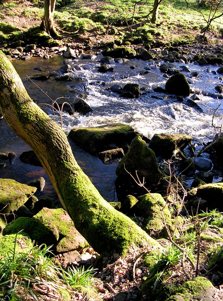 DSCN0713.JPG