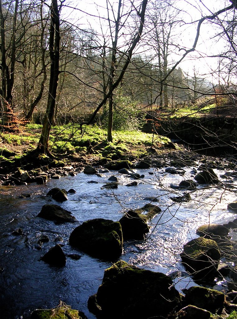 DSCN0716.JPG