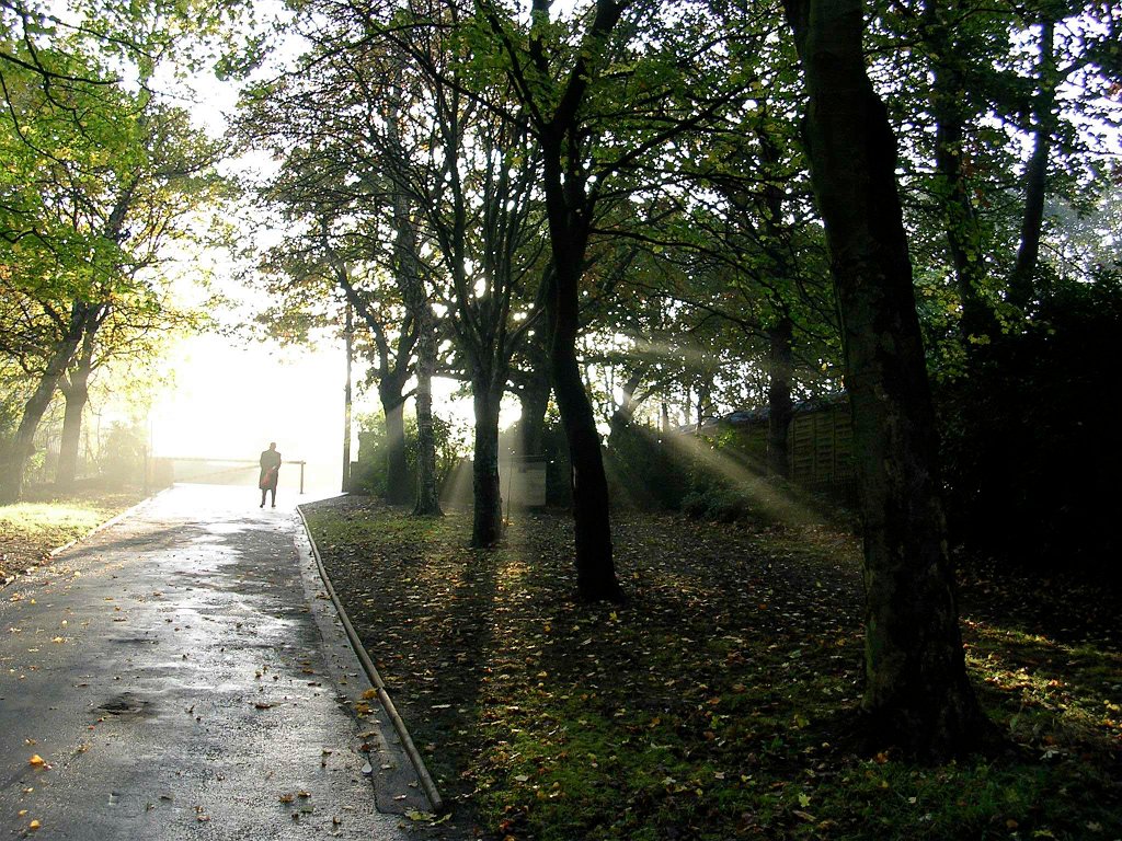 DSCN3919.JPG