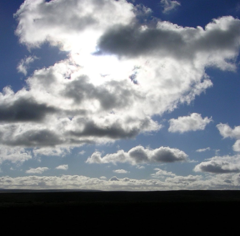 DSCN5122