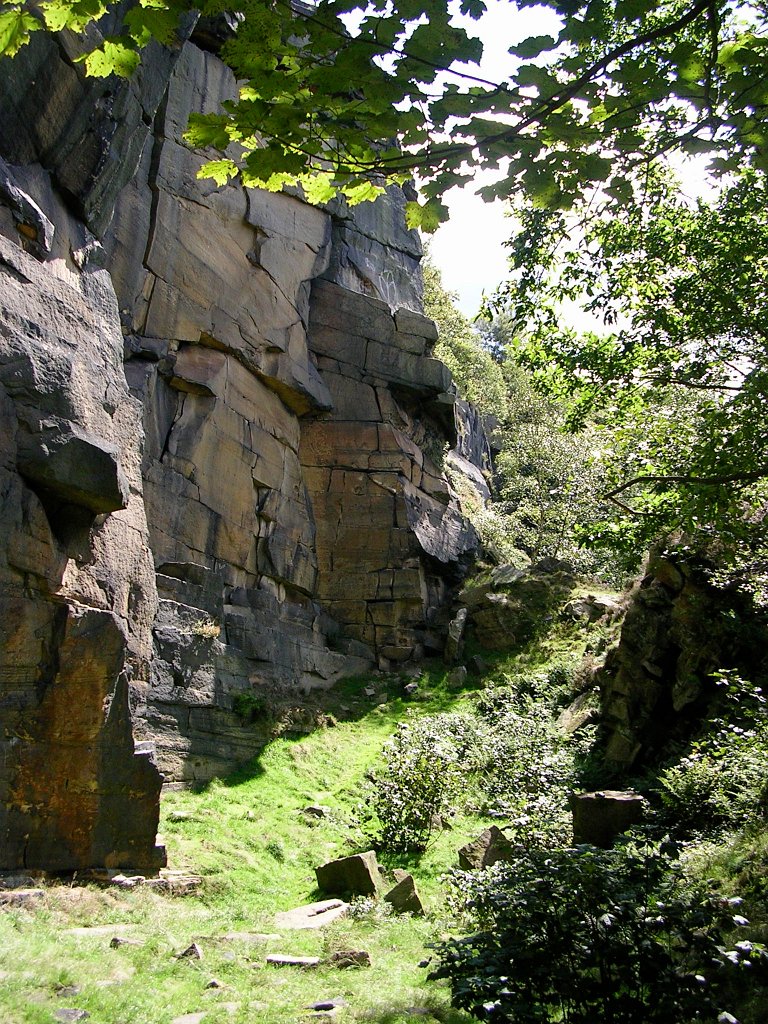 DSCN6655.JPG