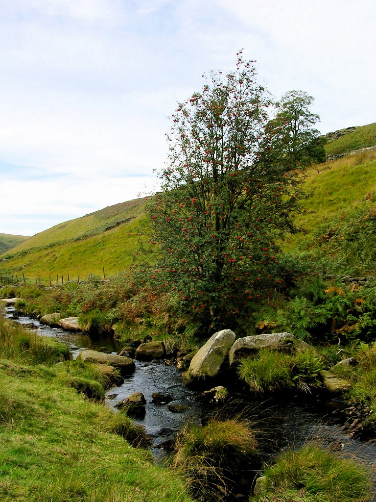 DSCN6867.JPG