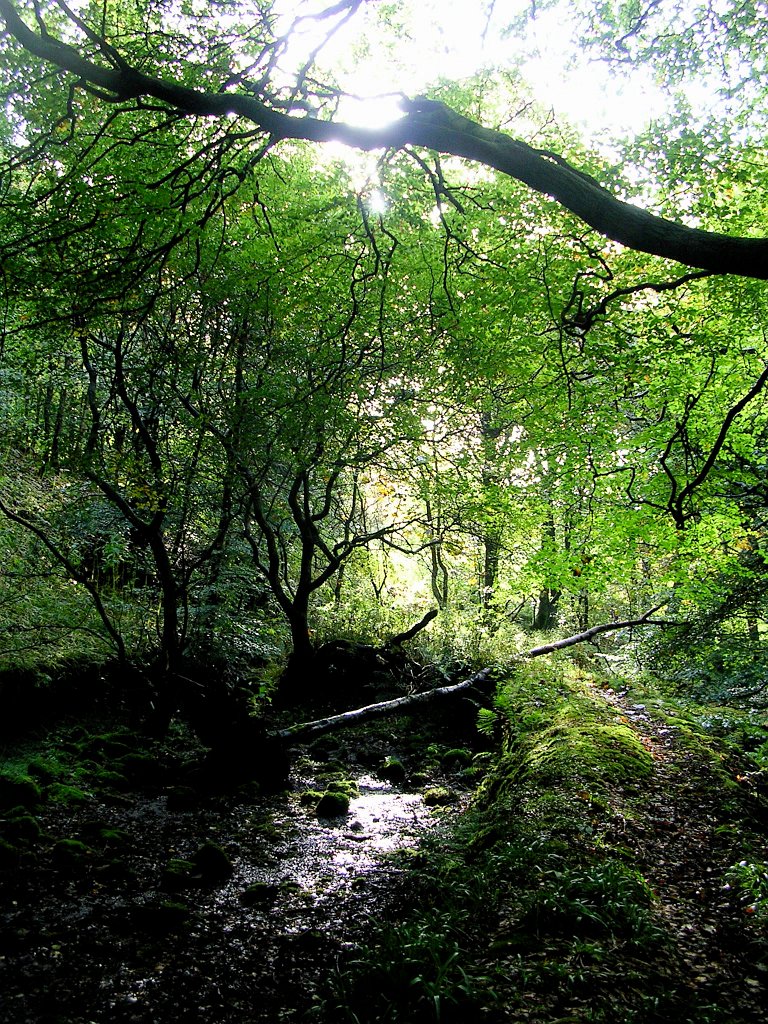 DSCN6986.JPG