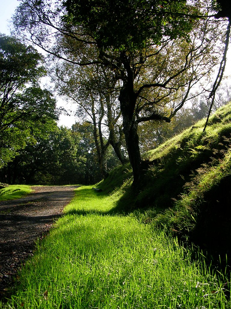 DSCN7061.JPG