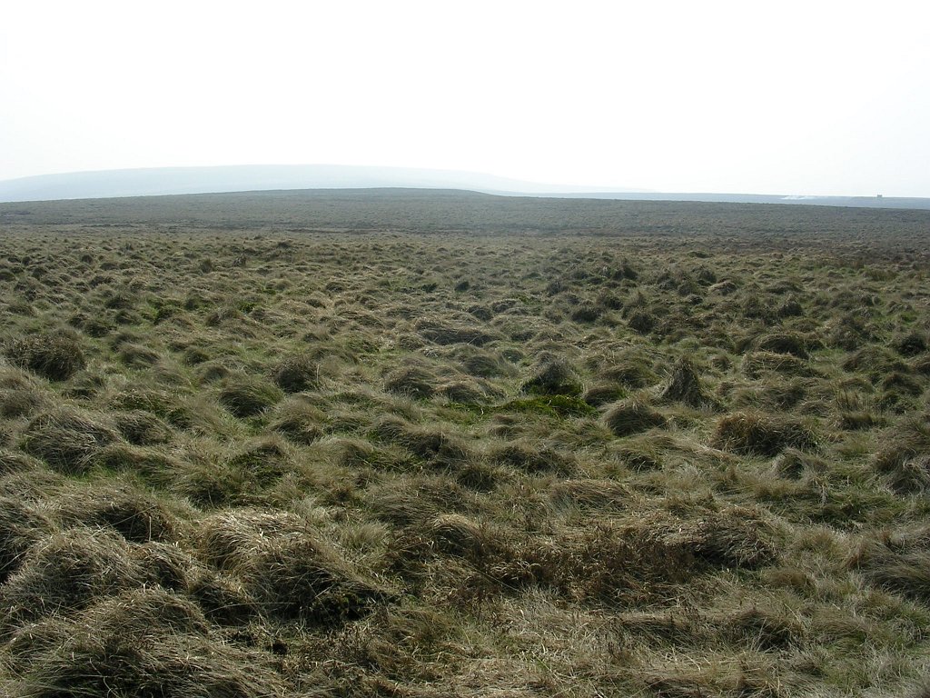 DSCN0515.JPG