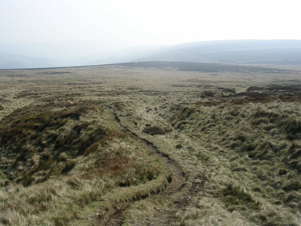 DSCN0517.JPG