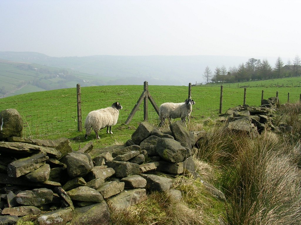 DSCN0521.JPG