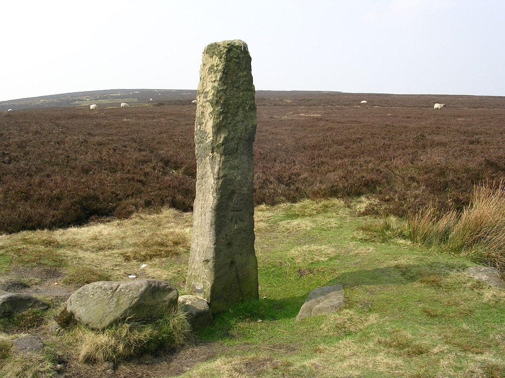 DSCN0524.JPG