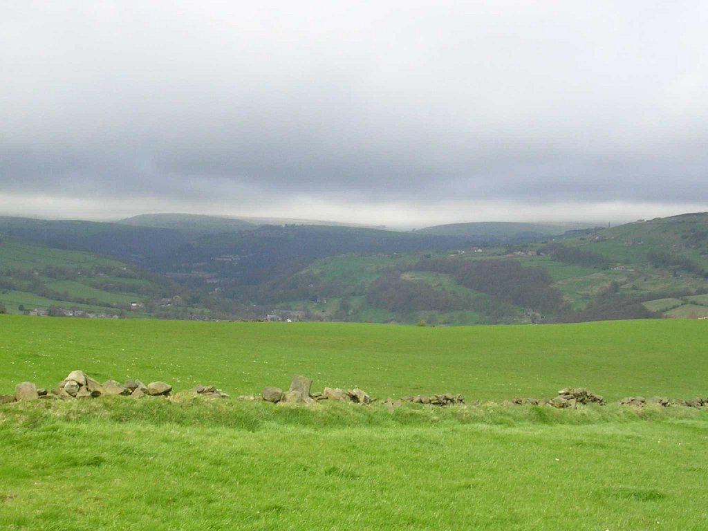 DSCN0540.JPG