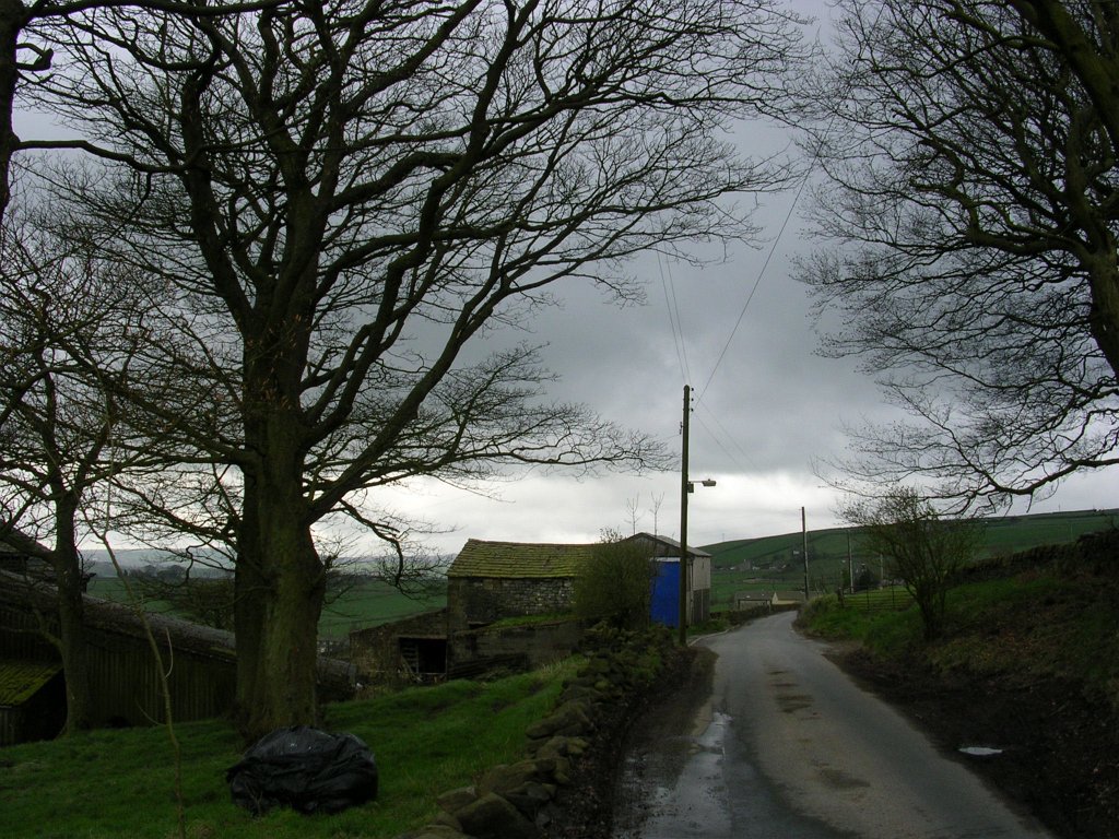 DSCN0544.JPG