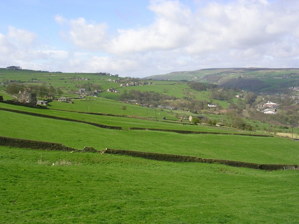 DSCN0568.JPG