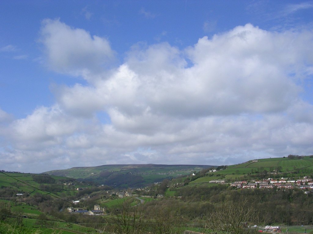 DSCN0571.JPG