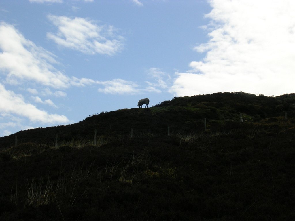 DSCN1024.JPG