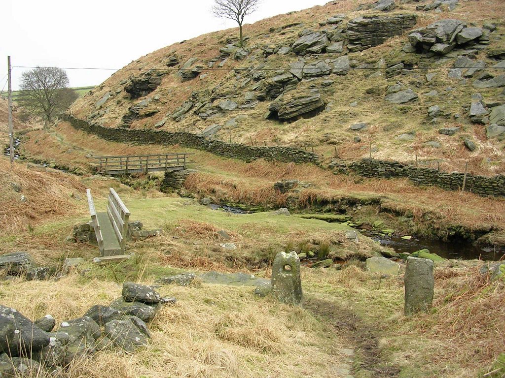 DSCN0183.JPG
