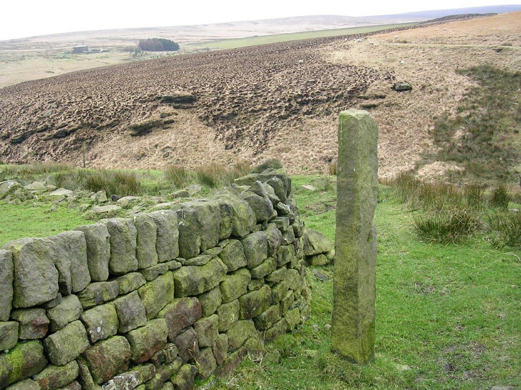 DSCN0185.JPG
