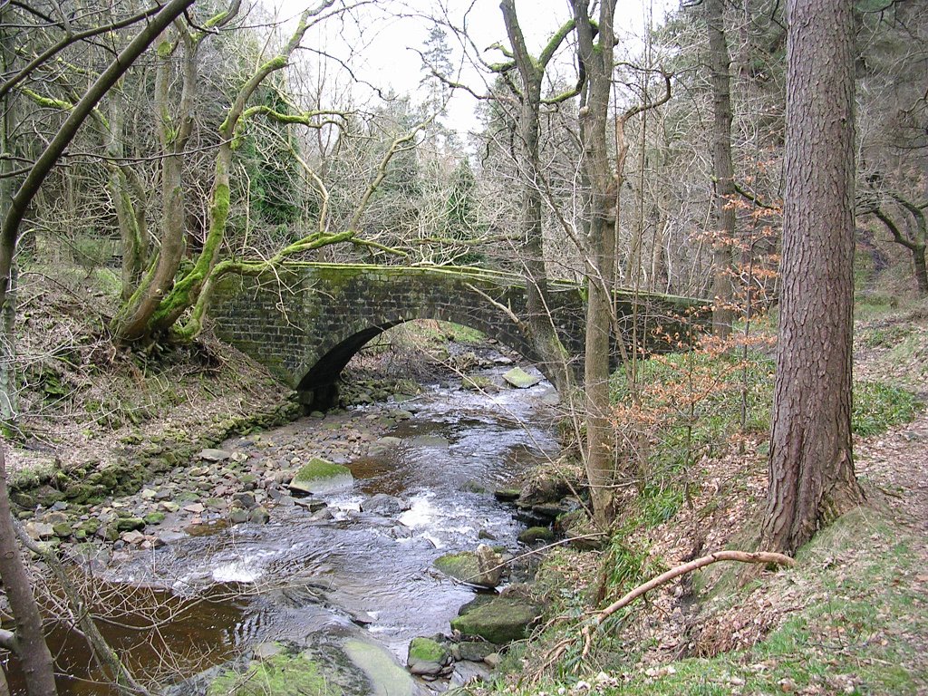 DSCN0209.JPG