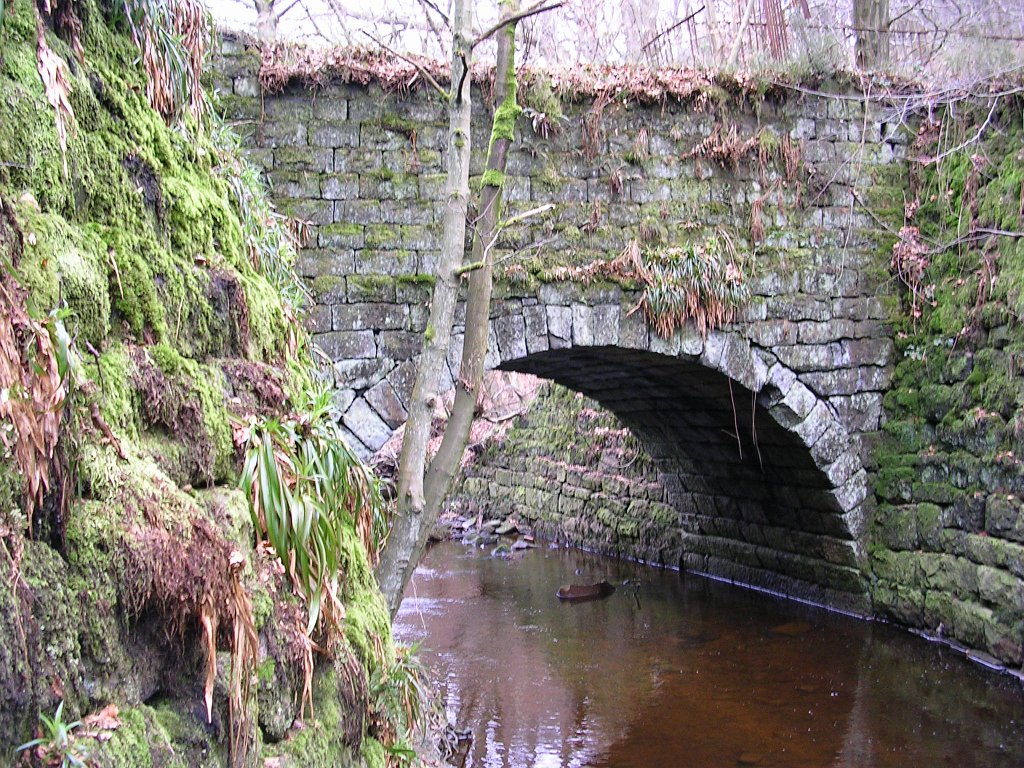 DSCN0219.JPG