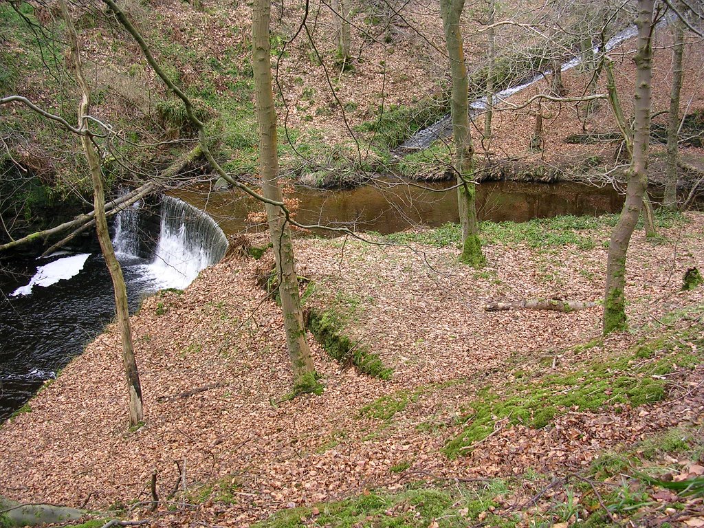 DSCN0220.JPG