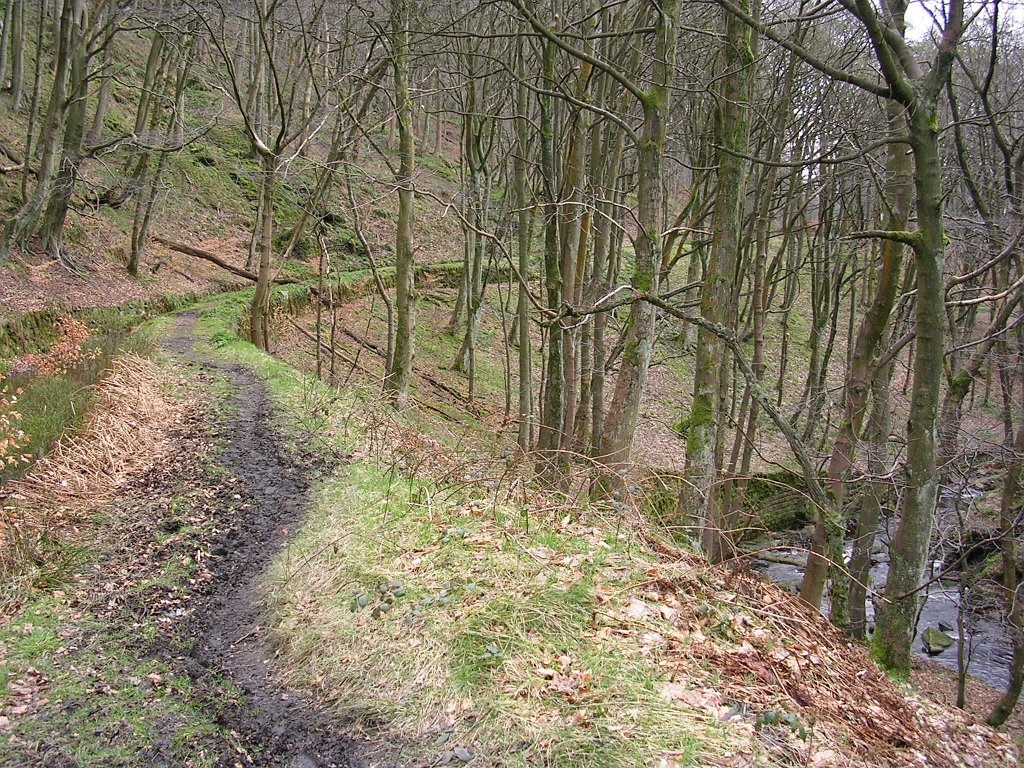 DSCN0222.JPG