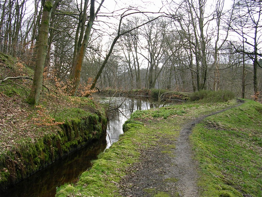 DSCN0225.JPG