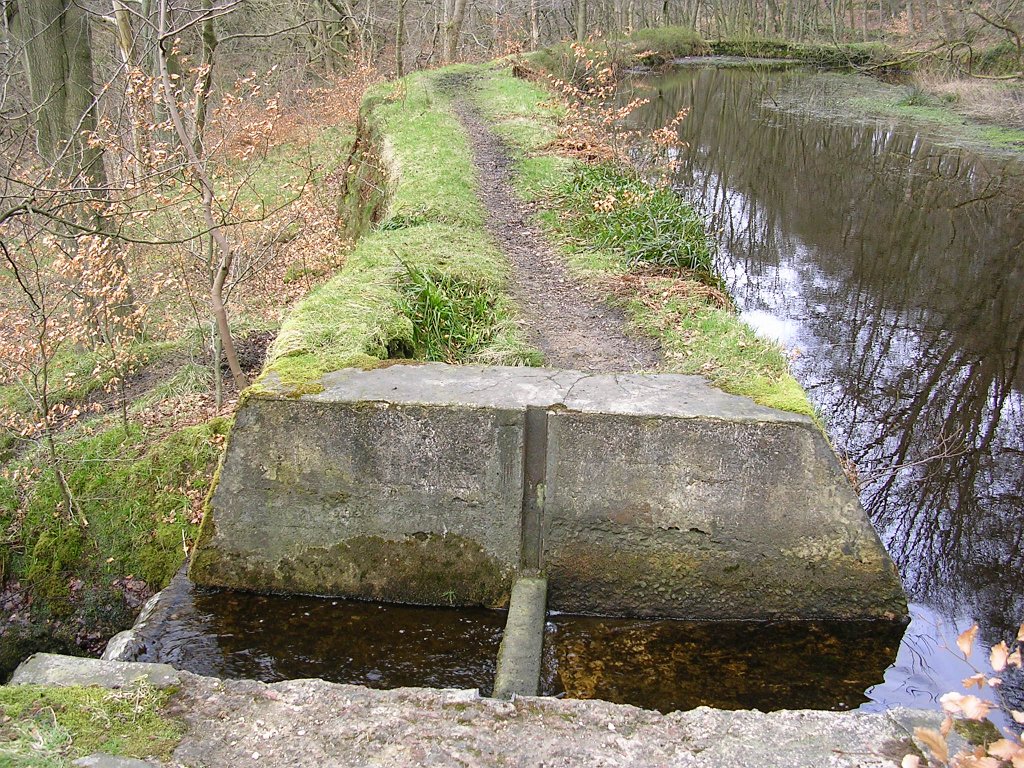 DSCN0226.JPG