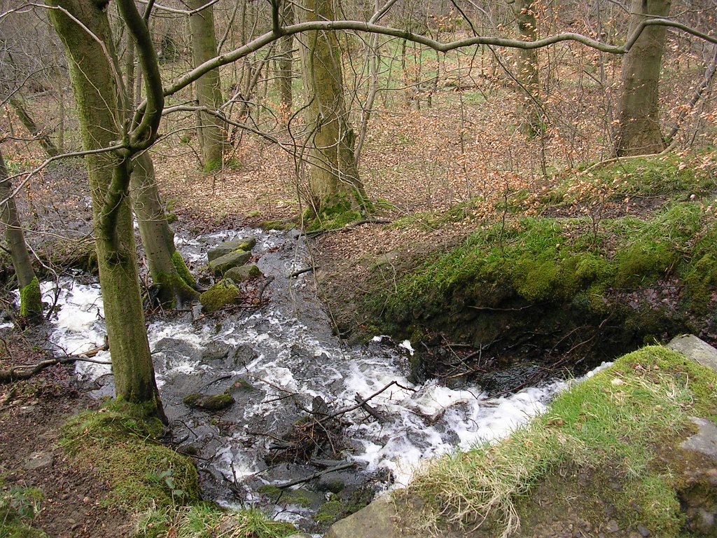 DSCN0227.JPG