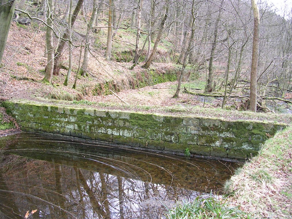 DSCN0228.JPG