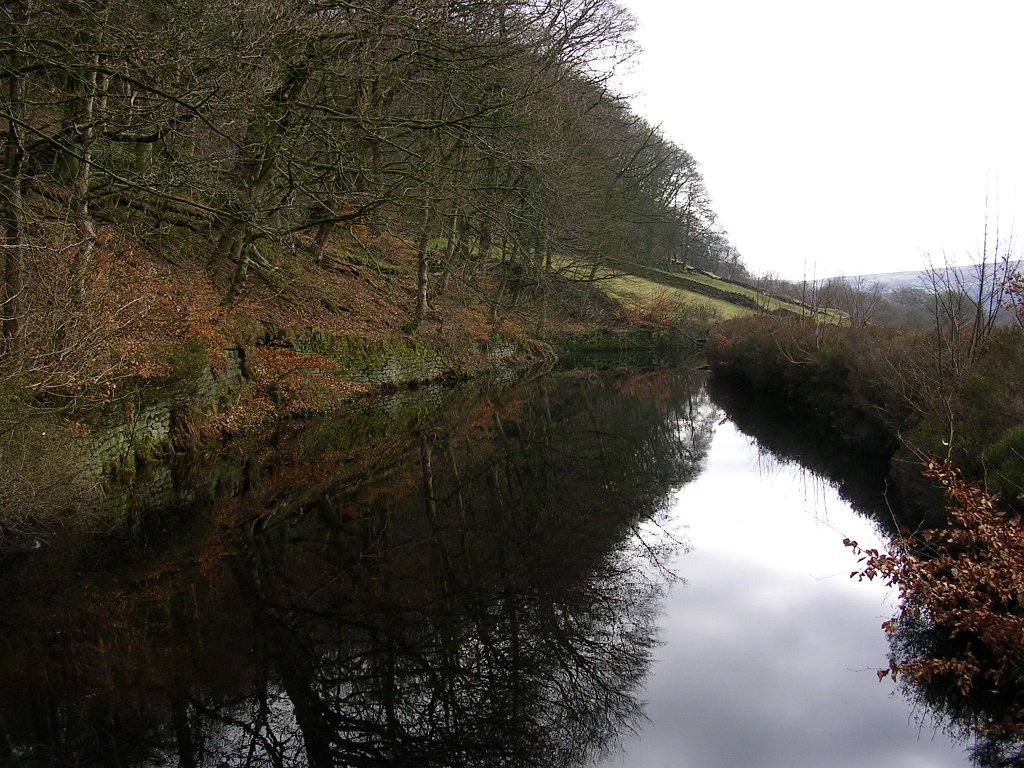 DSCN0232.JPG