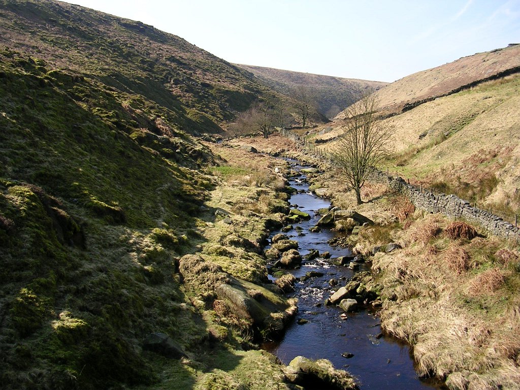 DSCN0329.JPG