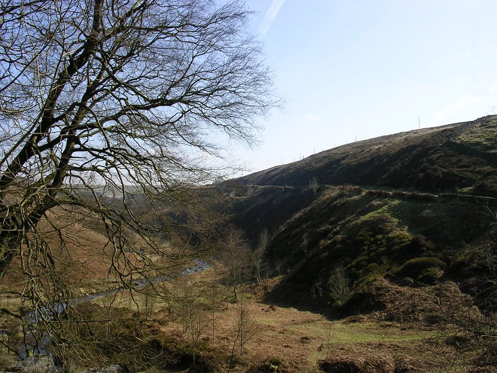 DSCN0330.JPG
