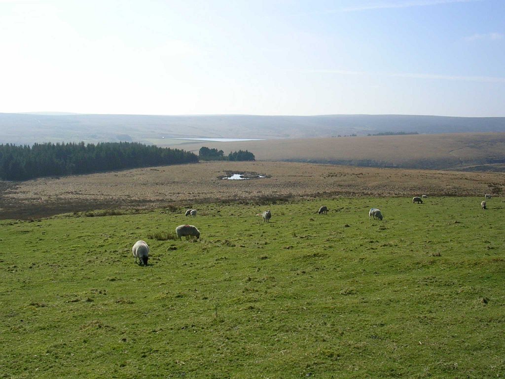 DSCN0337.JPG